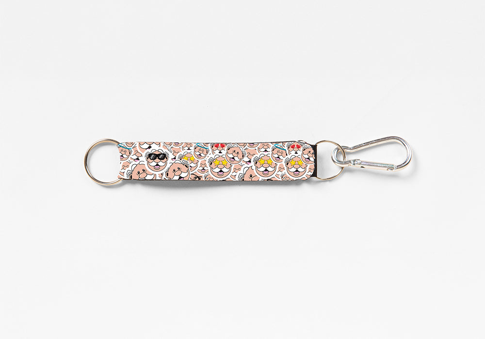 Dr-Simi-Key-holder-With-Carabiner-1-Pc.jpg